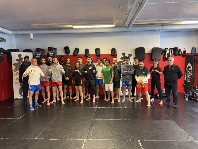 Lire la suite à propos de l’article Compte Rendu du Stage de Wushu Sanda (Boxe Chinoise).  